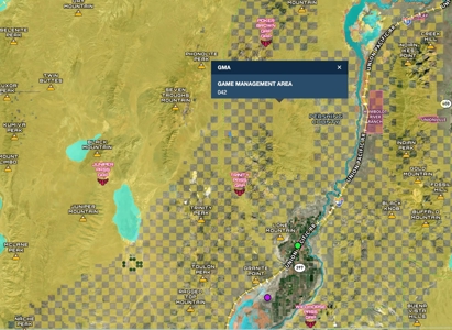 Nevada Residential Buildable Mountain Desert Land For Sale - image 18