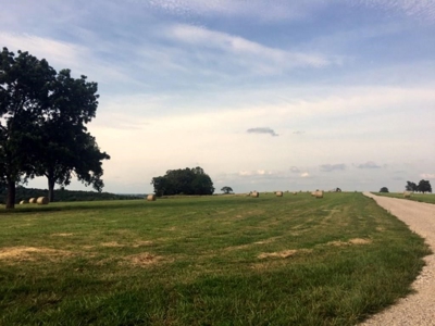 Land For Sale With River Access - image 3