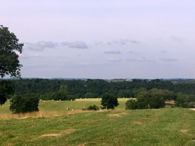 Land For Sale With River Access - image 6