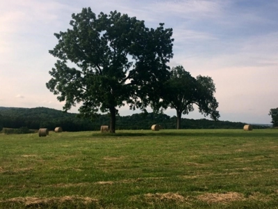 Land For Sale With River Access - image 4