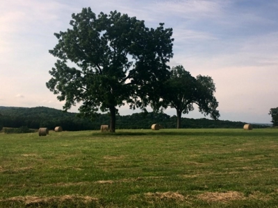 Land For Sale With River Access - image 7