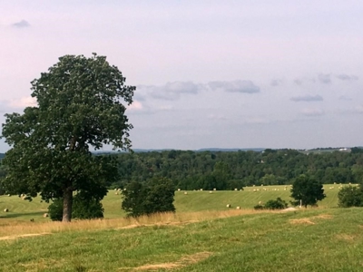 Land For Sale With River Access - image 5