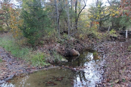 Land For Sale With River Access In Eureka Springs Ar - image 2