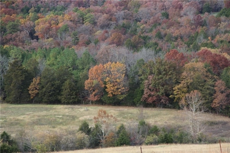 Land For Sale With River Access In Eureka Springs Ar - image 3