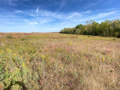 110+/- Acres, Caldwell County, MO - image 17