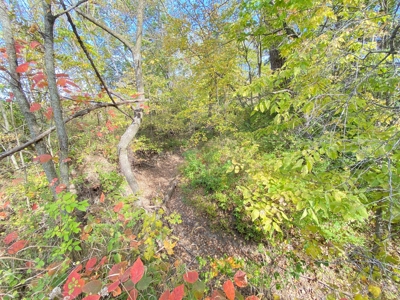 110+/- Acres, Caldwell County, MO - image 20