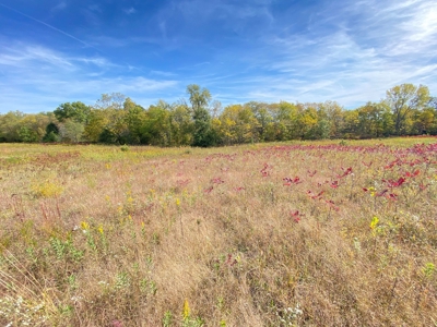 110+/- Acres, Caldwell County, MO - image 18