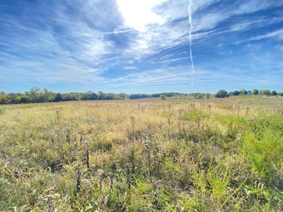 110+/- Acres, Caldwell County, MO - image 7