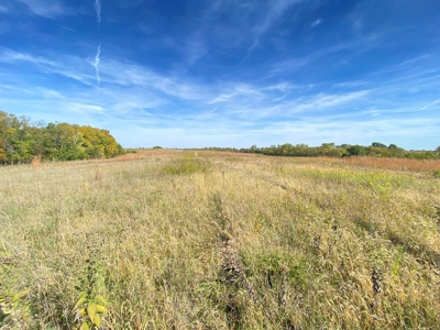 110+/- Acres, Caldwell County, MO - image 6
