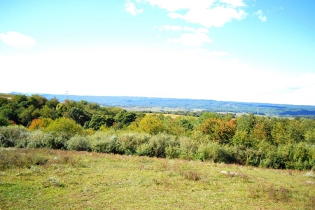 83 Acre horse farm with barn and residence Wytheville, VA - image 49