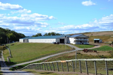 83 Acre horse farm with barn and residence Wytheville, VA - image 2