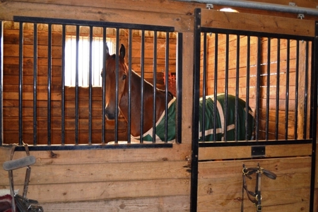 83 Acre horse farm with barn and residence Wytheville, VA - image 13