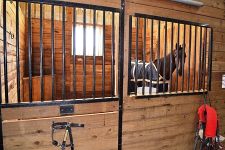 83 Acre horse farm with barn and residence Wytheville, VA - image 12
