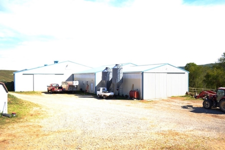 83 Acre horse farm with barn and residence Wytheville, VA - image 44