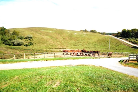 83 Acre horse farm with barn and residence Wytheville, VA - image 42