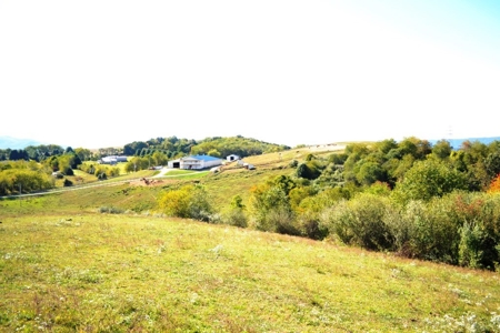 83 Acre horse farm with barn and residence Wytheville, VA - image 50