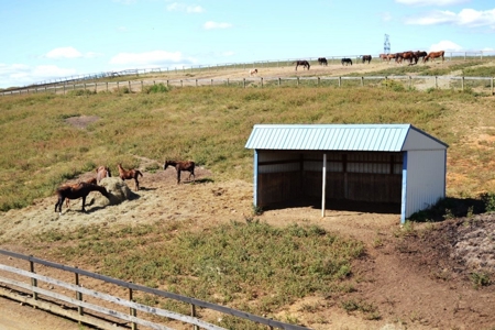 83 Acre horse farm with barn and residence Wytheville, VA - image 18