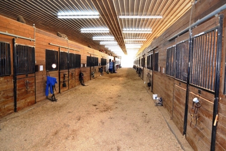 83 Acre horse farm with barn and residence Wytheville, VA - image 8