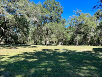 River Home - Old Town Florida - Dixie County Florida - image 27