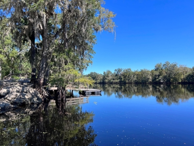 River Home - Old Town Florida - Dixie County Florida - image 31