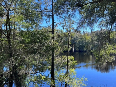 River Home - Old Town Florida - Dixie County Florida - image 28