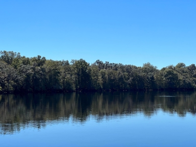 River Home - Old Town Florida - Dixie County Florida - image 30
