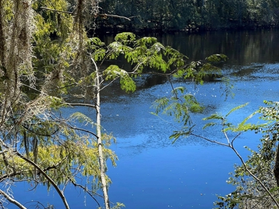 River Home - Old Town Florida - Dixie County Florida - image 29