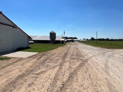 8 Barn Poultry Broiler Farm - image 11
