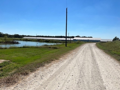 8 Barn Poultry Broiler Farm - image 13