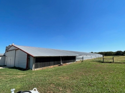 8 Barn Poultry Broiler Farm - image 19