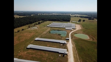 8 Barn Poultry Broiler Farm - image 1