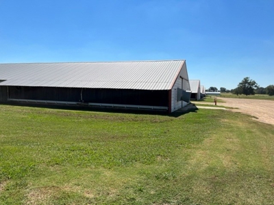 8 Barn Poultry Broiler Farm - image 18