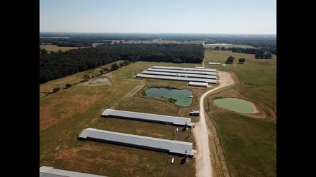 8 Barn Poultry Broiler Farm - image 2