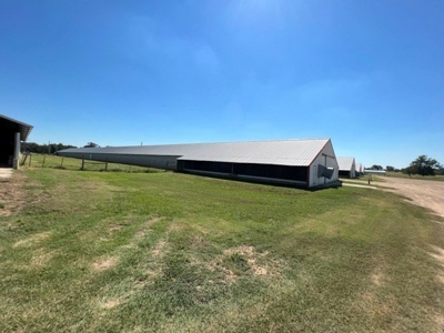 8 Barn Poultry Broiler Farm - image 23