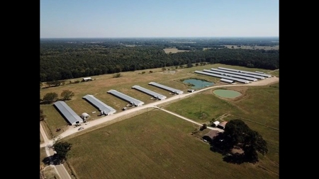 8 Barn Poultry Broiler Farm - image 4