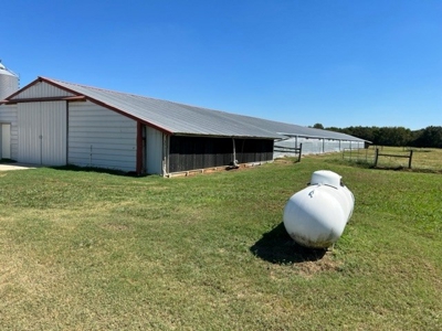 8 Barn Poultry Broiler Farm - image 15