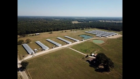 8 Barn Poultry Broiler Farm - image 5