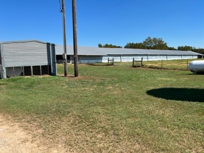 8 Barn Poultry Broiler Farm - image 9
