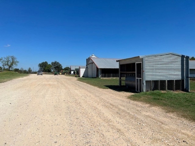 8 Barn Poultry Broiler Farm - image 8