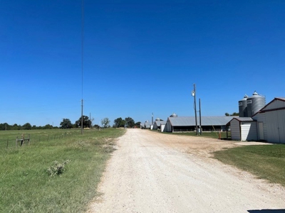 8 Barn Poultry Broiler Farm - image 16