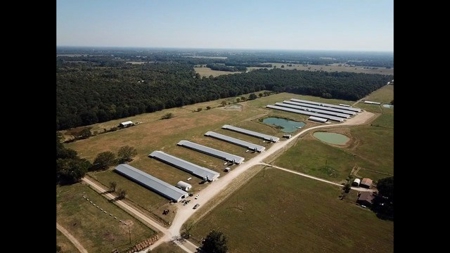 8 Barn Poultry Broiler Farm - image 3