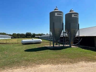 8 Barn Poultry Broiler Farm - image 14