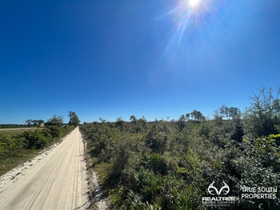 Bulloch County/ Pembroke Future Homesite/Land - image 2
