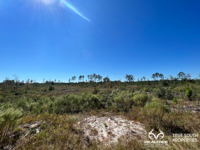 Bulloch County/ Pembroke Future Homesite/Land - image 9