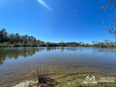 Bulloch County/ Pembroke Future Homesite/Land - image 10