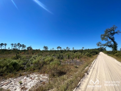 Bulloch County/ Pembroke Future Homesite/Land - image 6