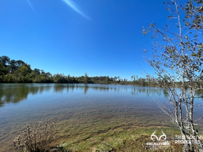 Bulloch County/ Pembroke Future Homesite/Land - image 8