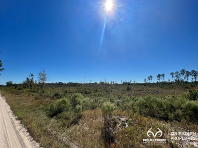 Bulloch County/ Pembroke Future Homesite/Land - image 5