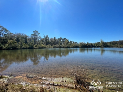 Bulloch County/ Pembroke Future Homesite/Land - image 3