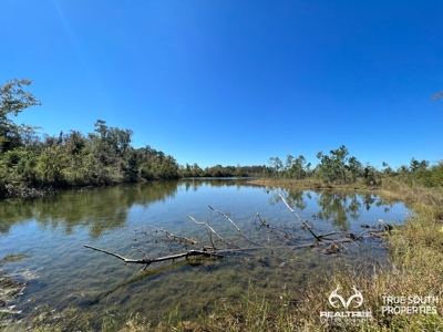 Bulloch County/ Pembroke Future Homesite/Land - image 12